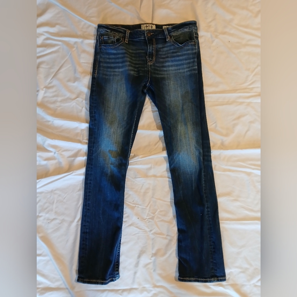 Daytrip Mila Straight jeans 29R